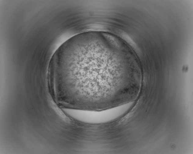 X0000091951378200709201314