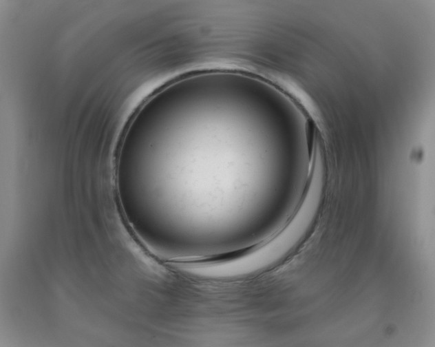 X0000091951380200709201314