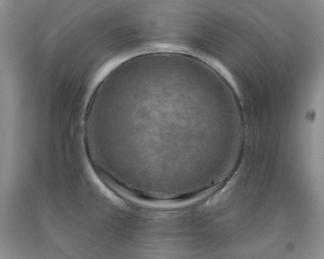 X0000091951381200709201314