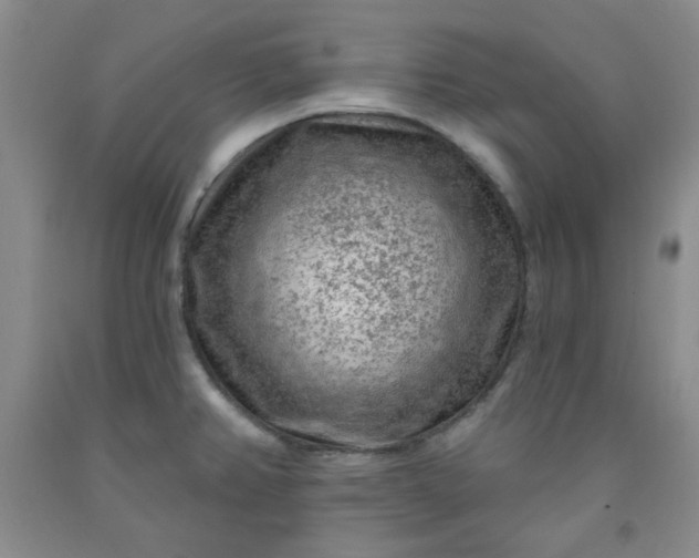 X0000091951382200709201314