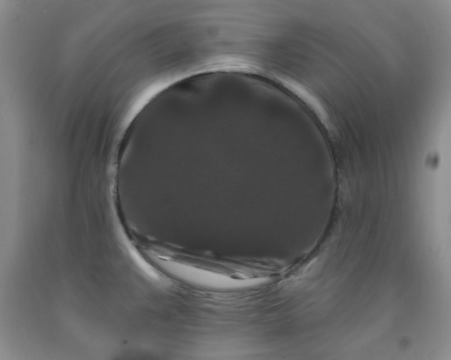 X0000091951383200709201314