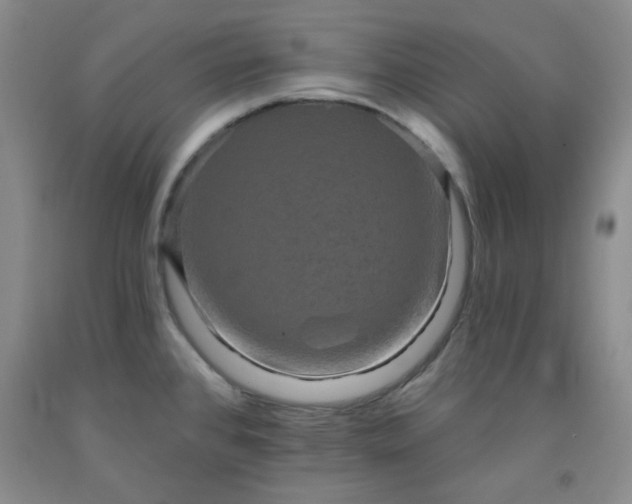 X0000091951384200709201314