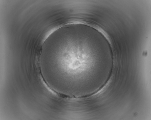 X0000091951385200709201314