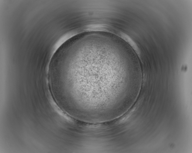 X0000091951386200709201314