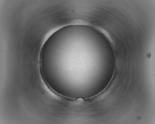 X0000091951387200709201314