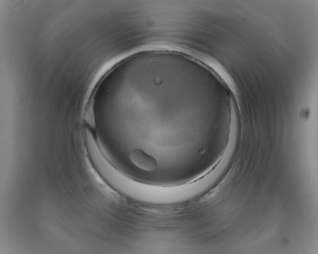 X0000091951388200709201314