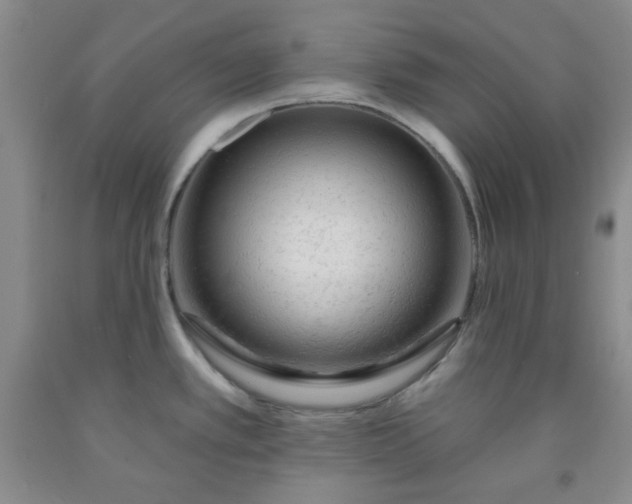 X0000091951389200709201313