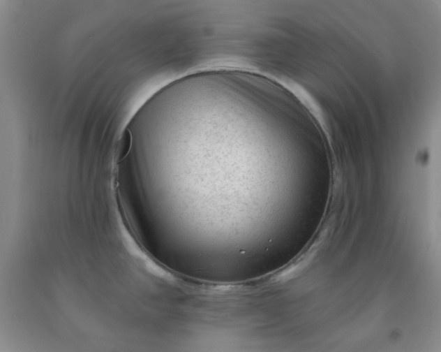 X0000091951390200709201313