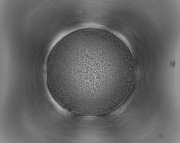 X0000091951391200709201313