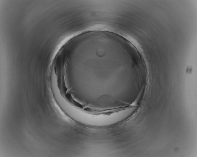 X0000091951392200709201313