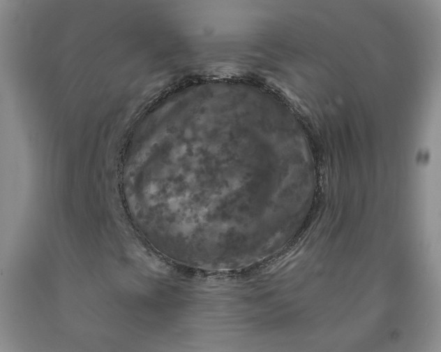 X0000091951393200709201313