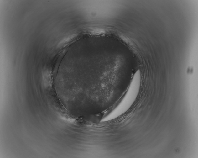 X0000091951394200709201313