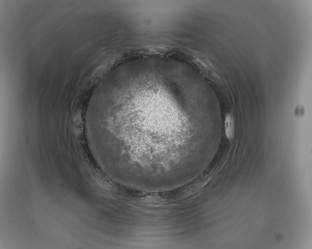 X0000091951395200709201313