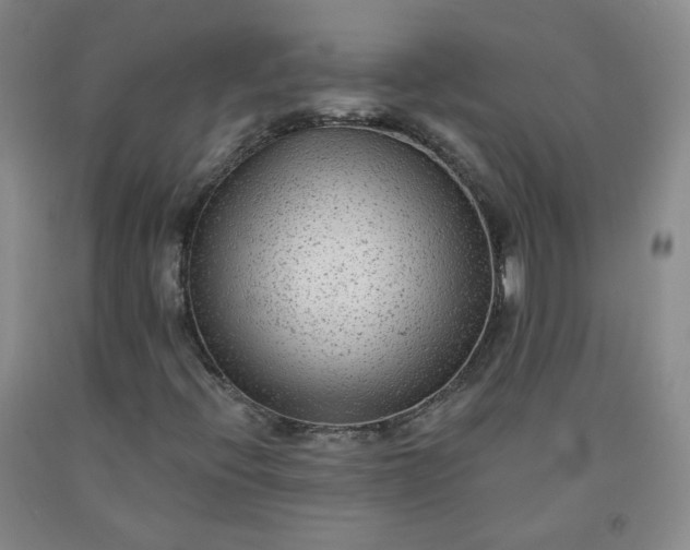 X0000091951396200709201313