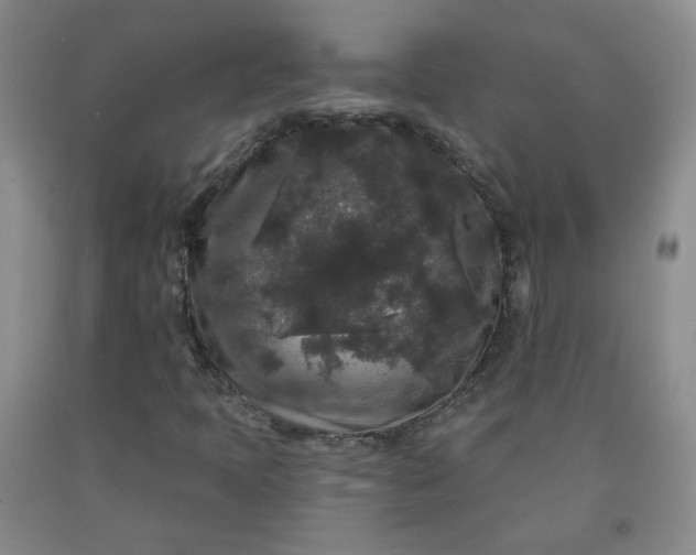 X0000091951397200709201313