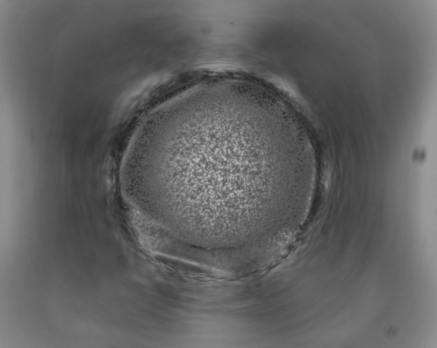 X0000091951398200709201313