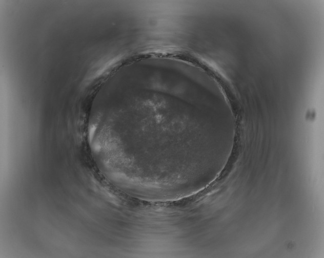 X0000091951399200709201313