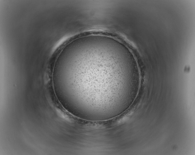 X0000091951400200709201313