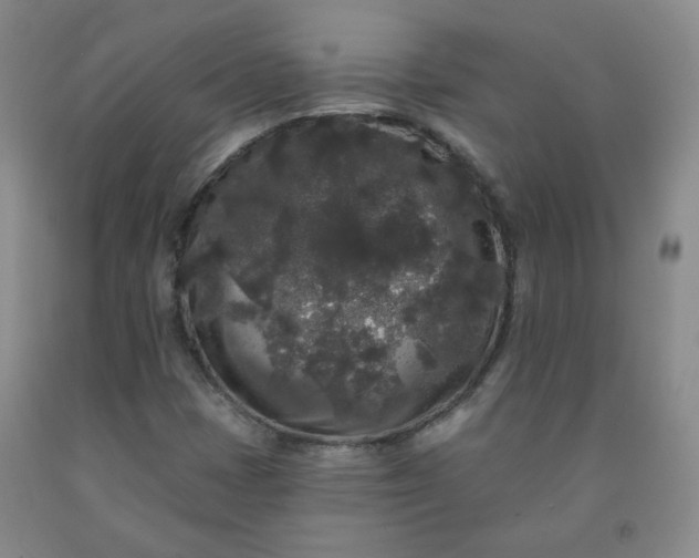 X0000091951401200709201313