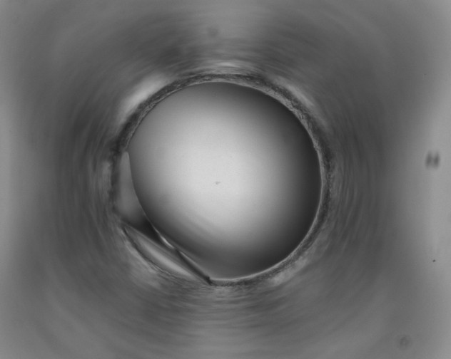 X0000091951402200709201313