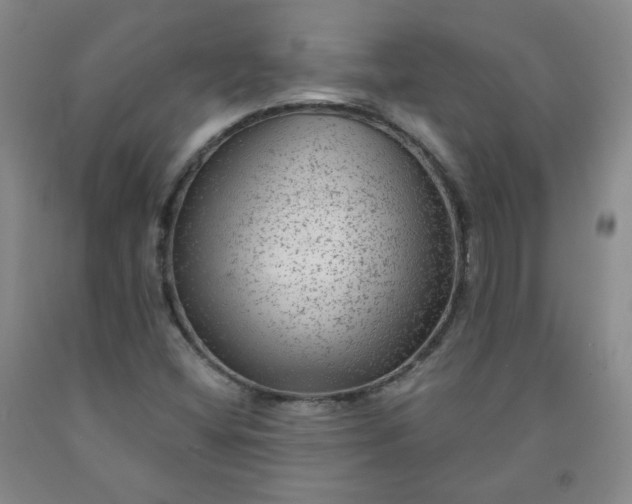 X0000091951404200709201313