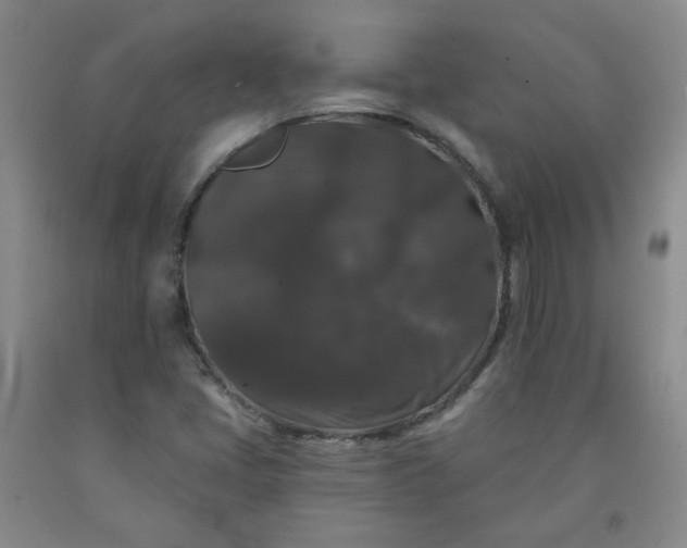 X0000091951405200709201313