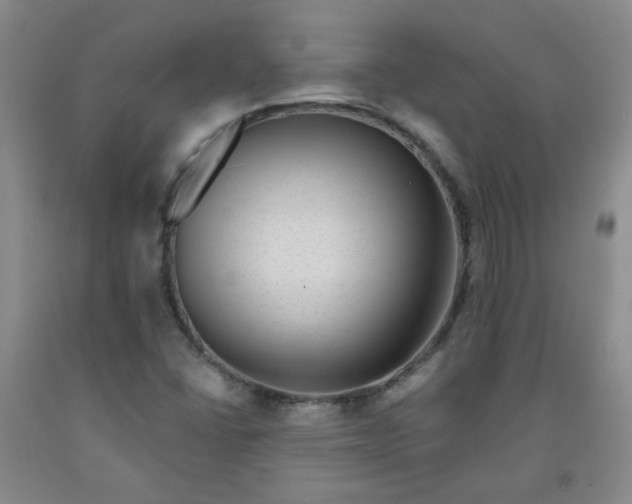 X0000091951406200709201313