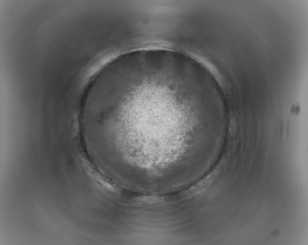 X0000091951407200709201313