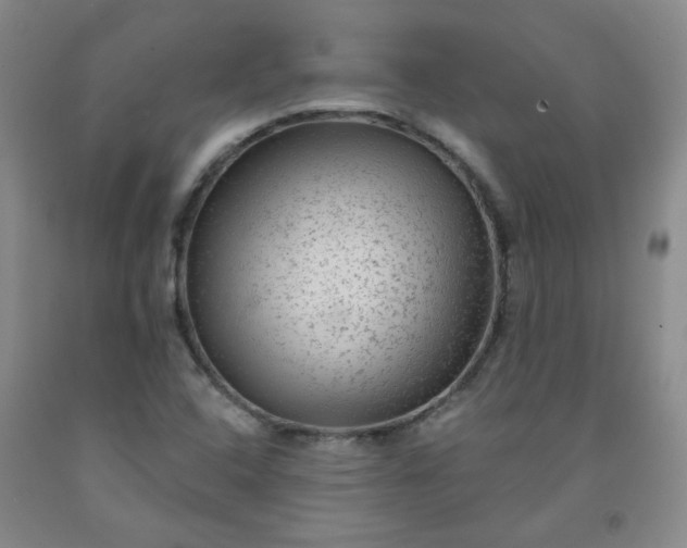 X0000091951408200709201313