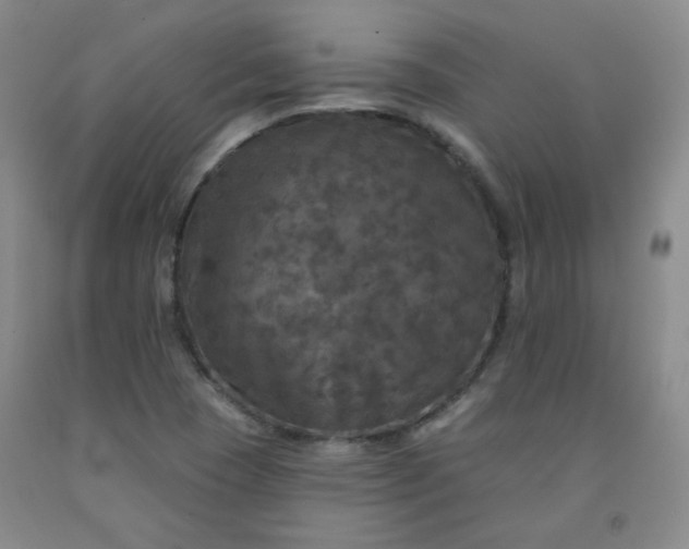 X0000091951409200709201313