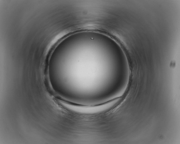 X0000091951410200709201313