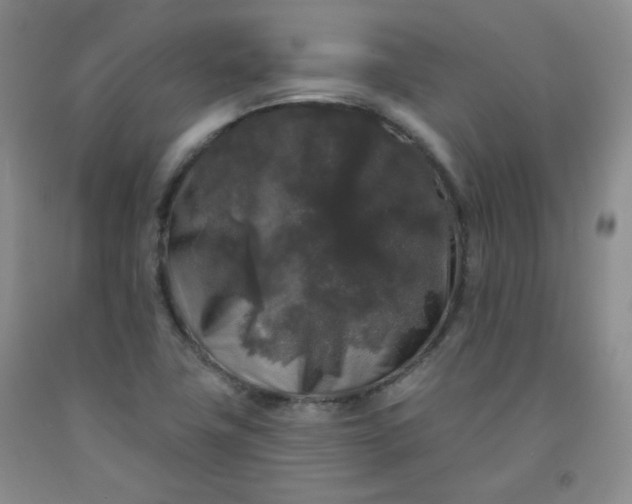 X0000091951411200709201313