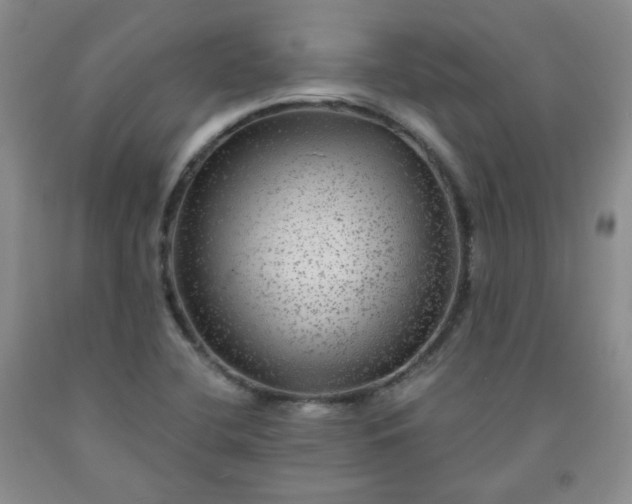 X0000091951412200709201313