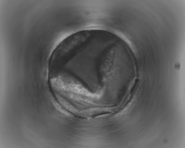 X0000091951413200709201313