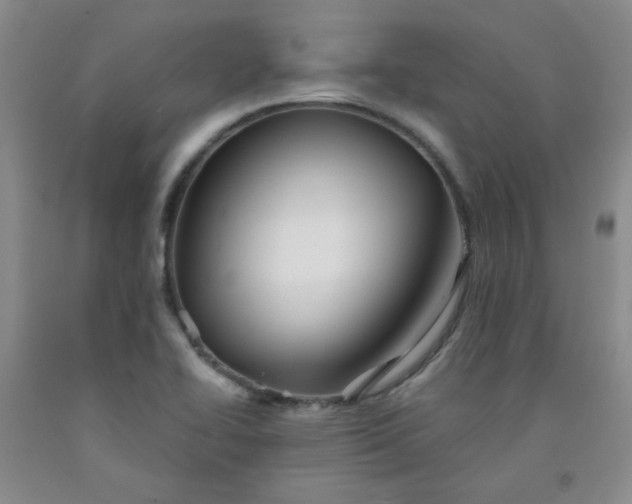 X0000091951414200709201313