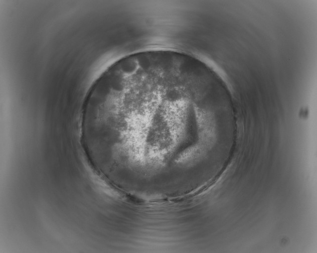 X0000091951415200709201313