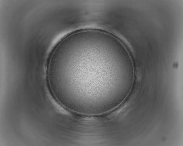 X0000091951416200709201313