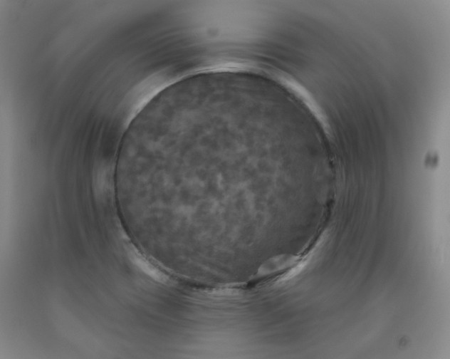 X0000091951417200709201313