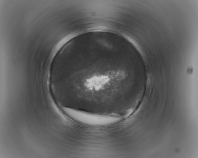 X0000091951418200709201313