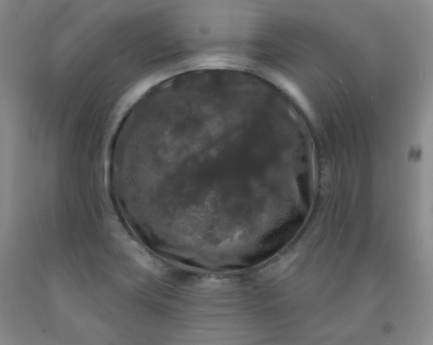 X0000091951419200709201313