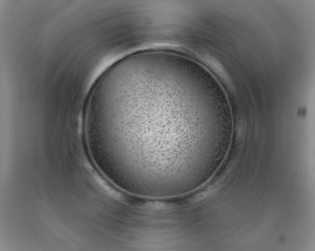 X0000091951420200709201313