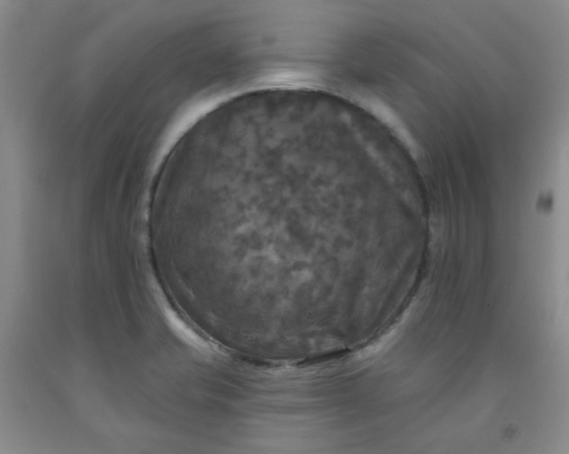 X0000091951421200709201313