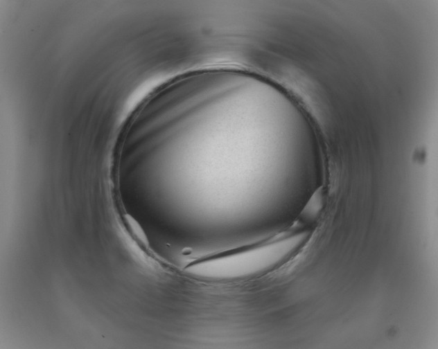 X0000091951422200709201313