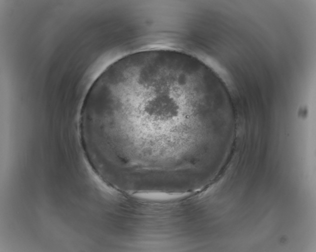 X0000091951423200709201313