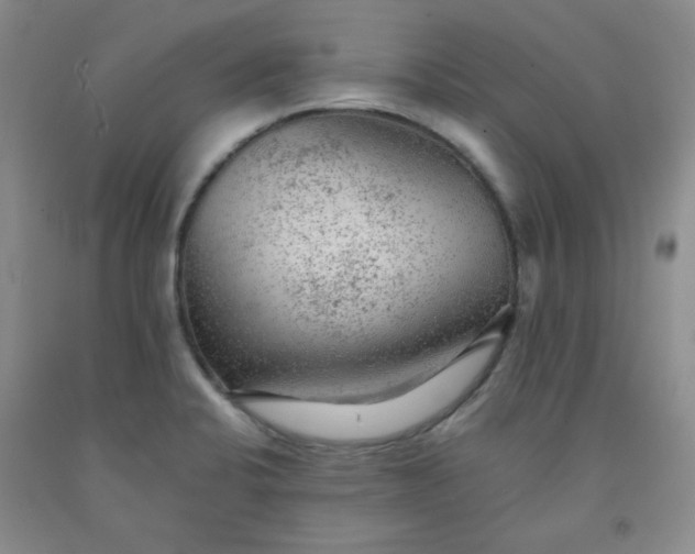 X0000091951424200709201313