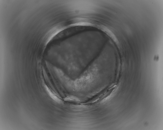 X0000091951425200709201313