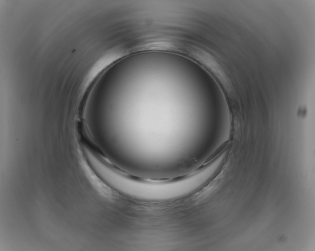 X0000091951426200709201313