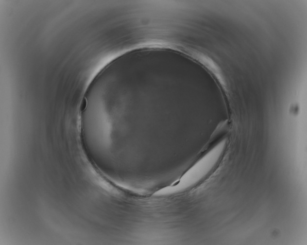 X0000091951428200709201313