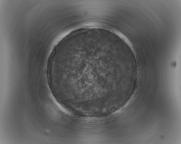 X0000091951429200709201313