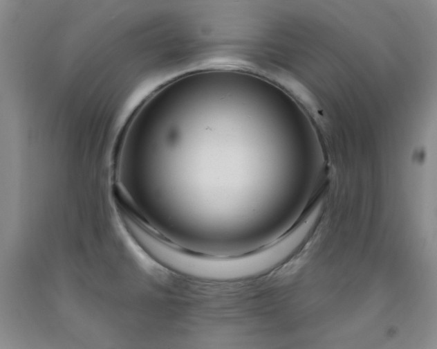 X0000091951430200709201313